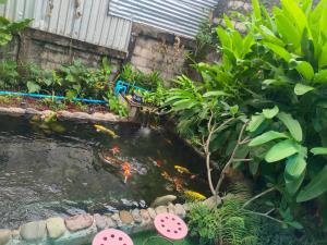 vang vieng champa hotel