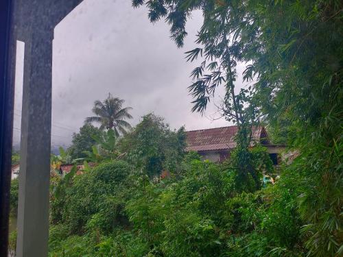 vang vieng champa hotel