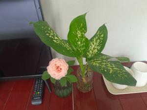 vang vieng champa hotel