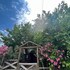 assos ada otel