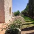 riad bini ddik