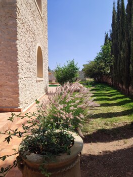riad bini ddik