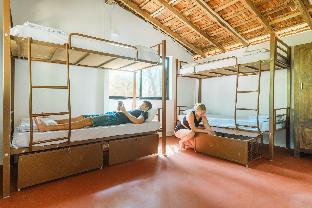 Spaceland Mandrem,Mandrem>>Goa,1 star