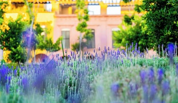 krystal grand residences and villas san miguel de allende