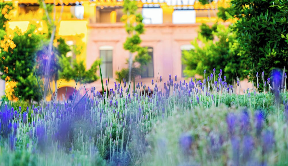 krystal grand residences and villas san miguel de allende