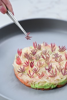 madi paidi bangkok autograph collection