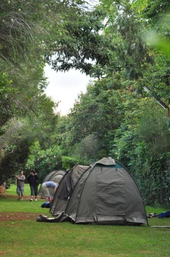 naiberi river campsite and resort