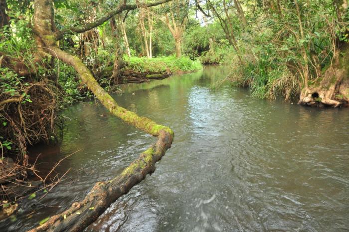 naiberi river campsite and resort