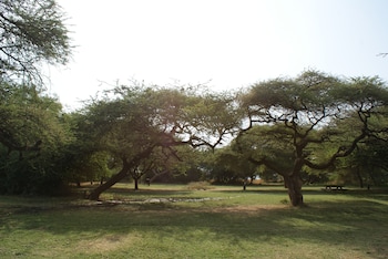 lake natron tented camp