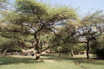 lake natron tented camp
