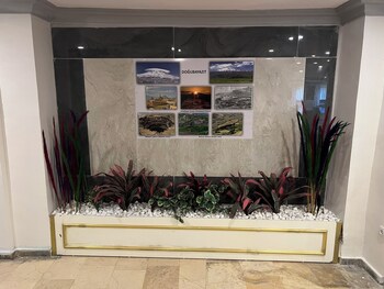 ararat hotel