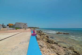 hotel la triguena