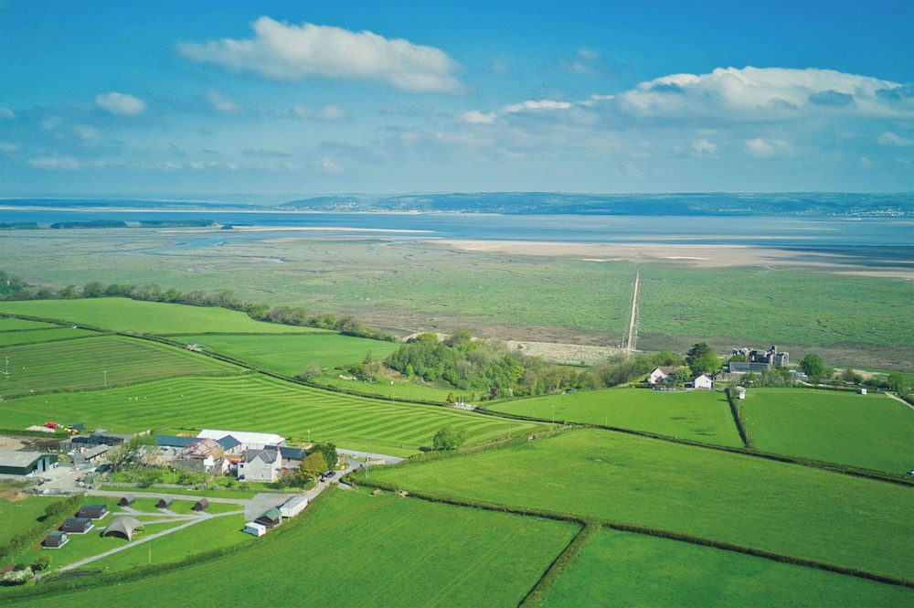 swansea