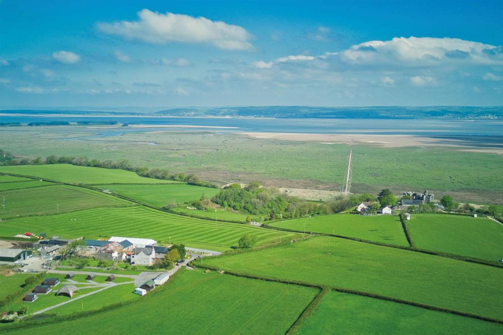 swansea