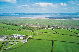 swansea