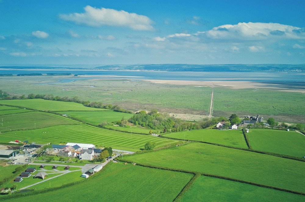 swansea