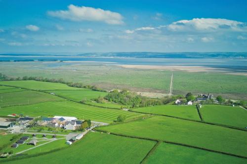 swansea