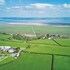 swansea