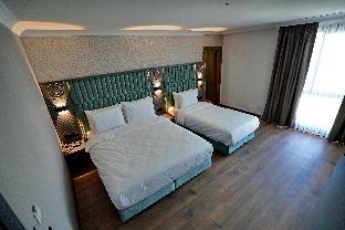 shelton airport otel