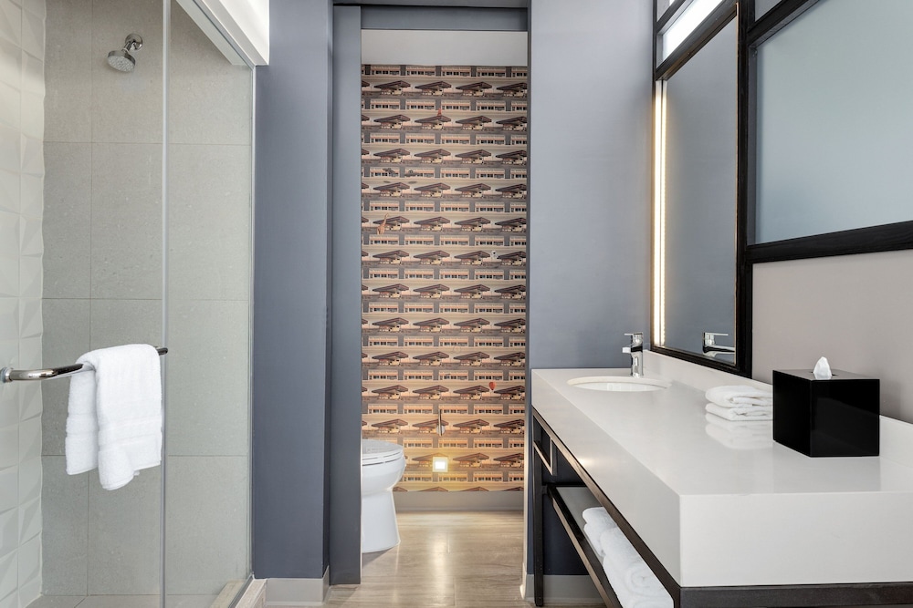 aloft santo domingo piantini