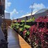 casa makaira