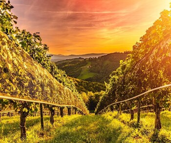 sankt nikolai im sausal