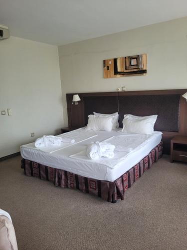 Sana Spa Hotel,Plovdiv>>Hisarja,3 star