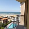 bellaria igea marina