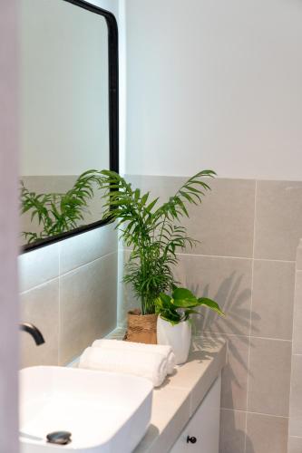 athens design suites