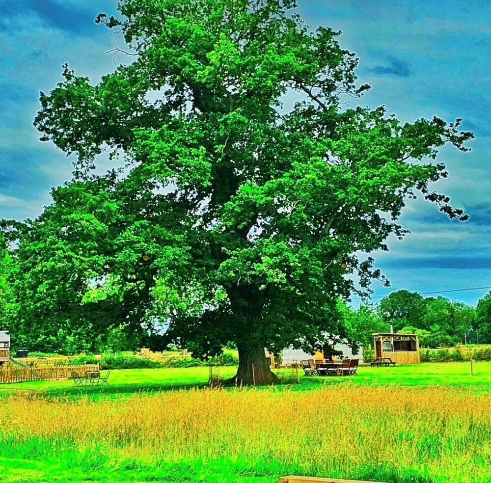 attleborough