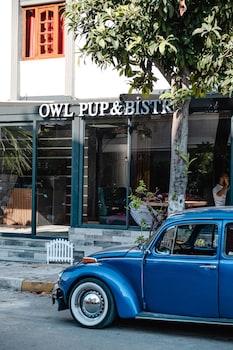 orange owl hotel