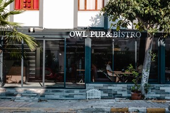 orange owl hotel