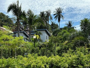 ko pha ngan