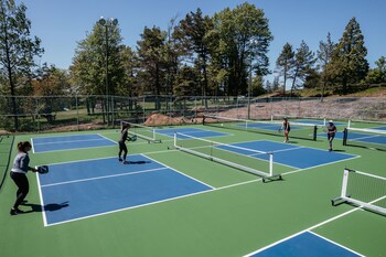 Roscoe Mountain Club,Town Of Colchester>>Roscoe,3 star