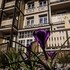 hotel willa tatrzanska