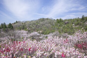 Glamping Hoshigaminomori,Nakatsugawa>>Ena,3 star