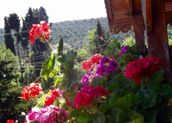 hamsilos tatil koyu and apart hotel