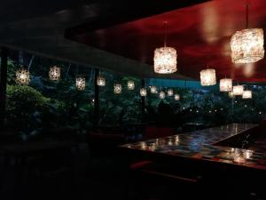 chirripo art hotel