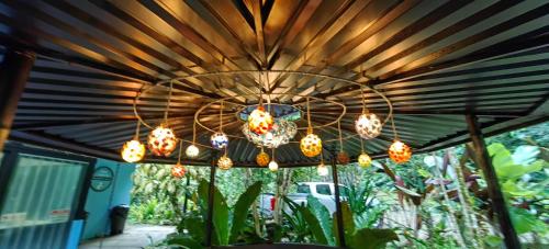 chirripo art hotel