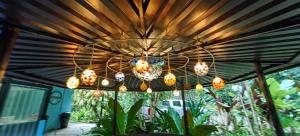 chirripo art hotel