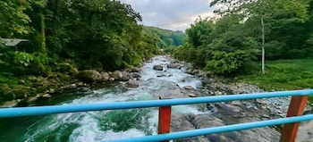 rivas