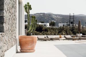 naxos