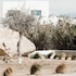 naxos