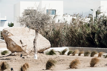 naxos