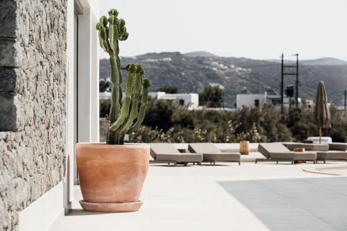 sundunes hotel naxos