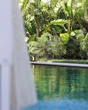 the xon hotel
