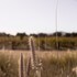valle de guadalupe