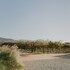 valle de guadalupe
