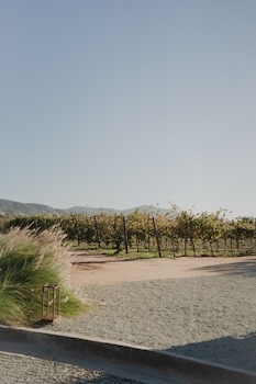 valle de guadalupe