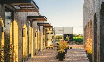 valle de guadalupe
